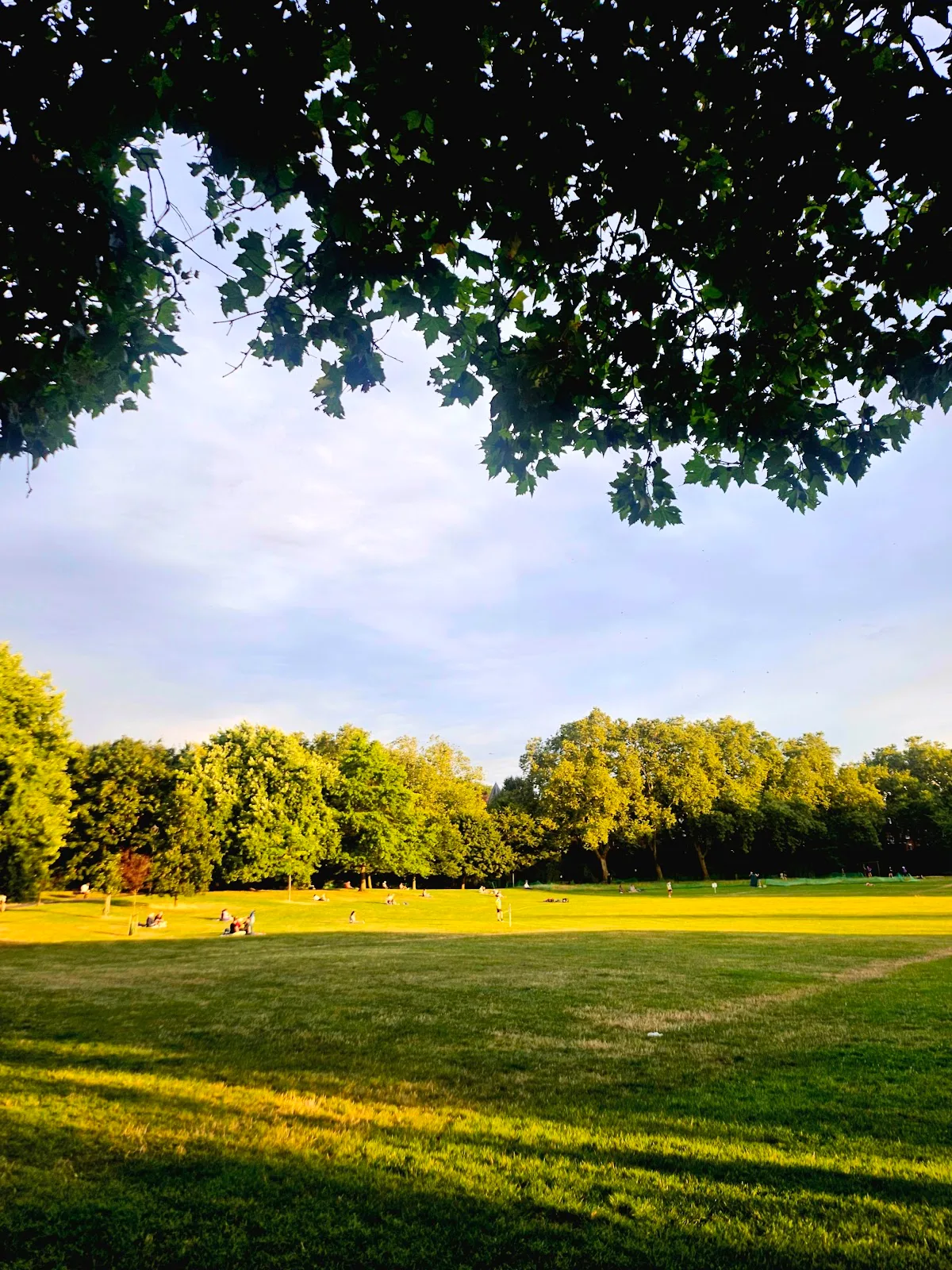 Paddington Recreation Ground