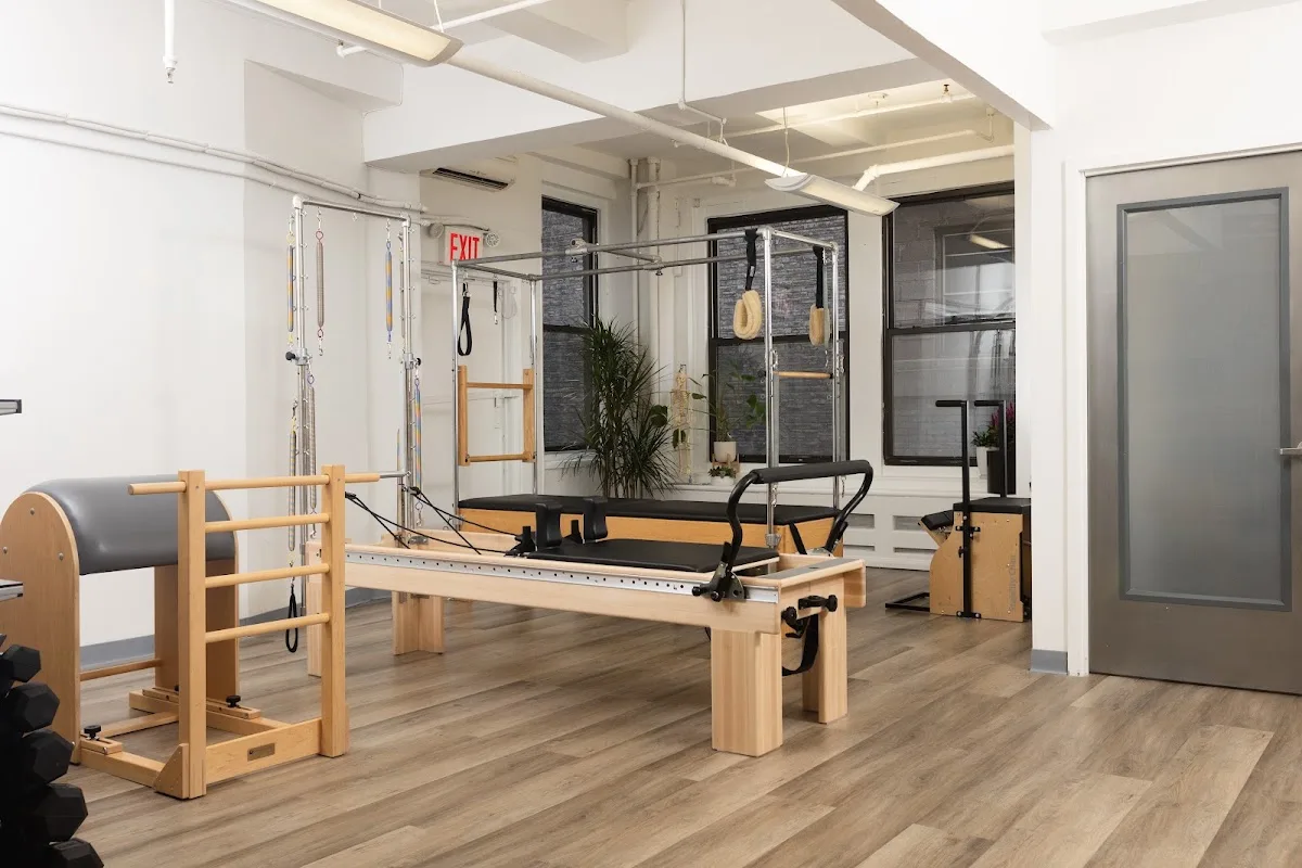 The Movement Study