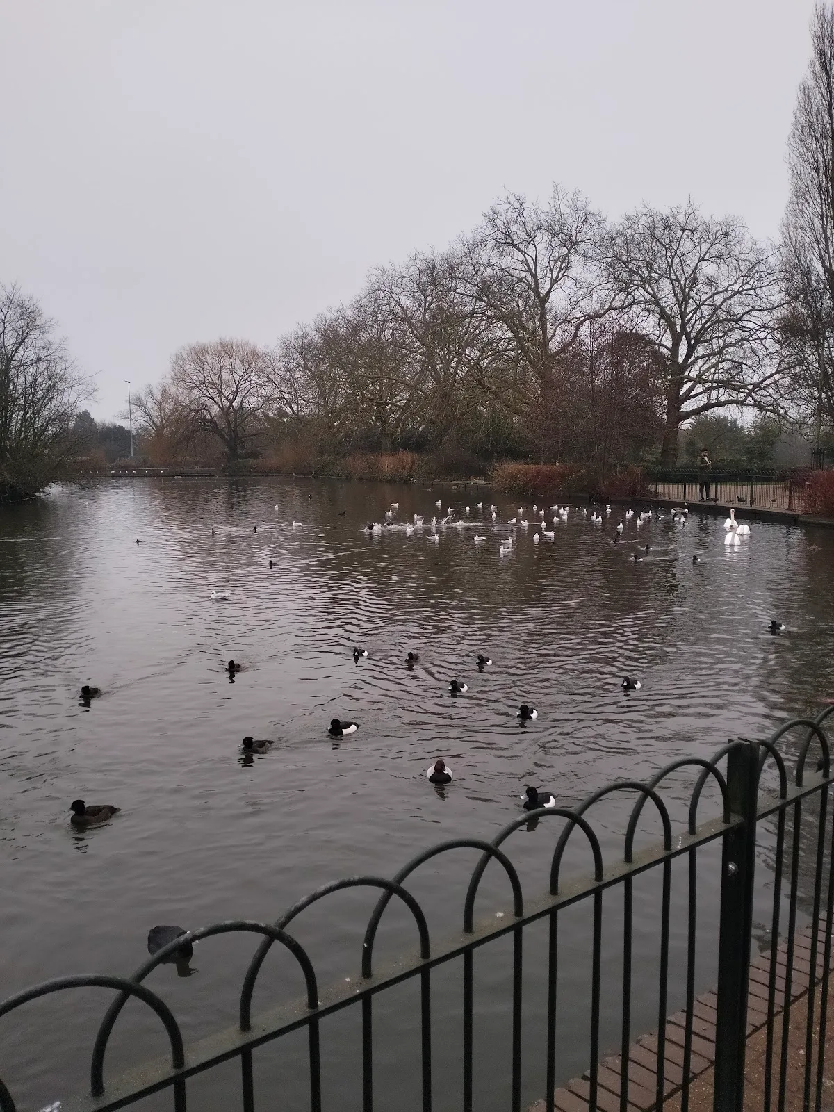 Finsbury Park Cafe