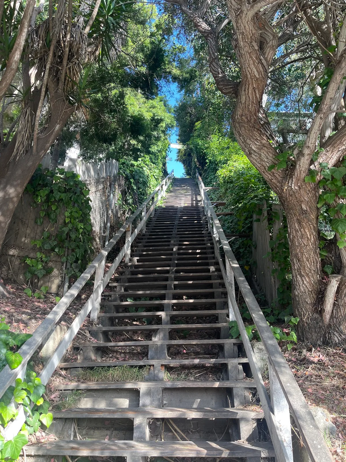 Santa Monica Stairs