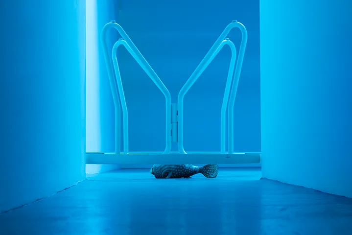 Michael Benevento