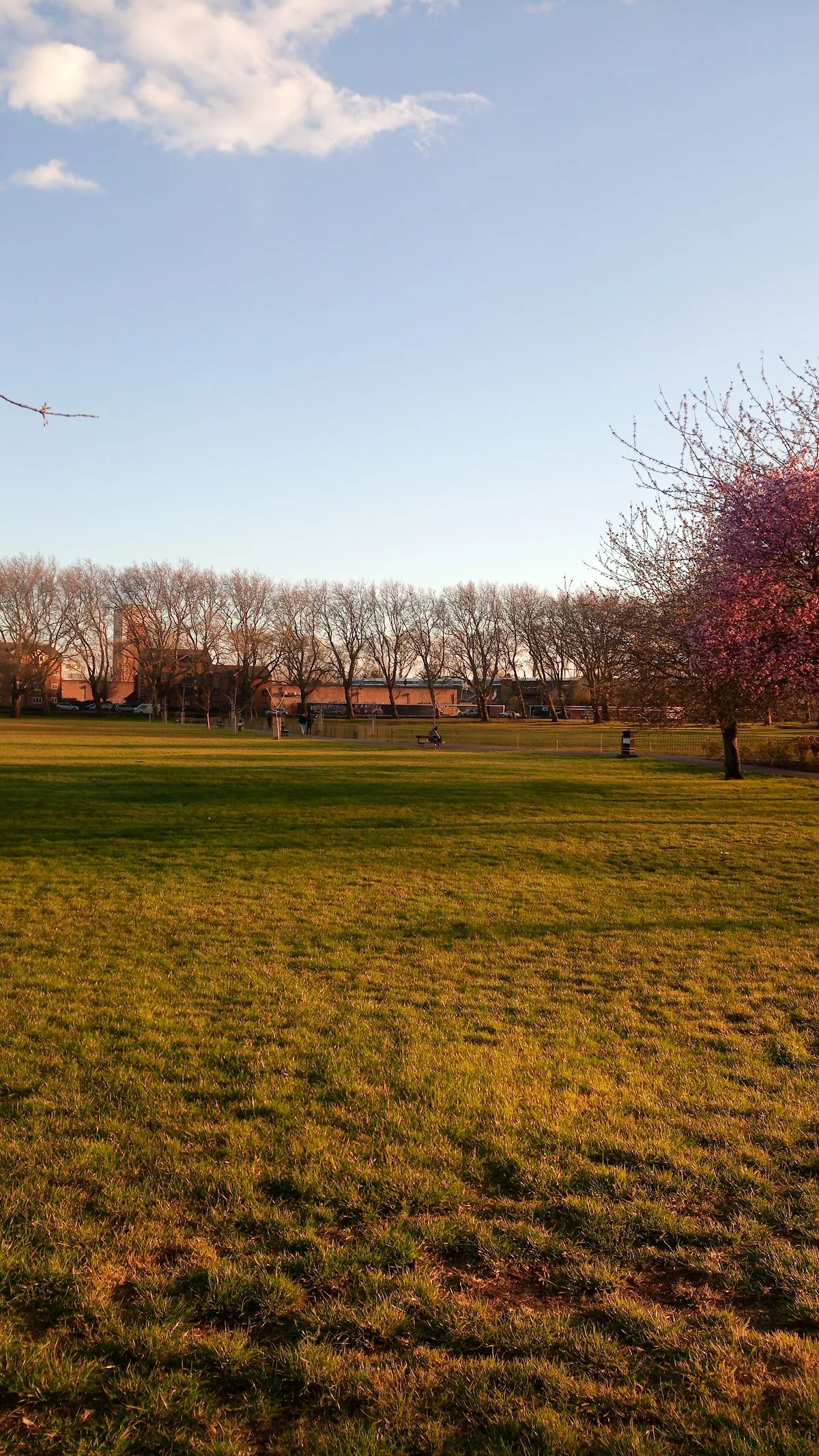 Deptford Park