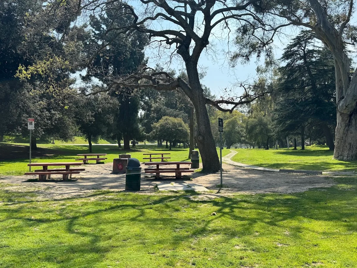 Elysian Park Arboretum