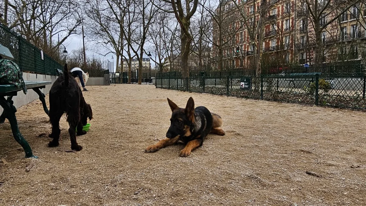 Parc Canin Denfert-Rochereau