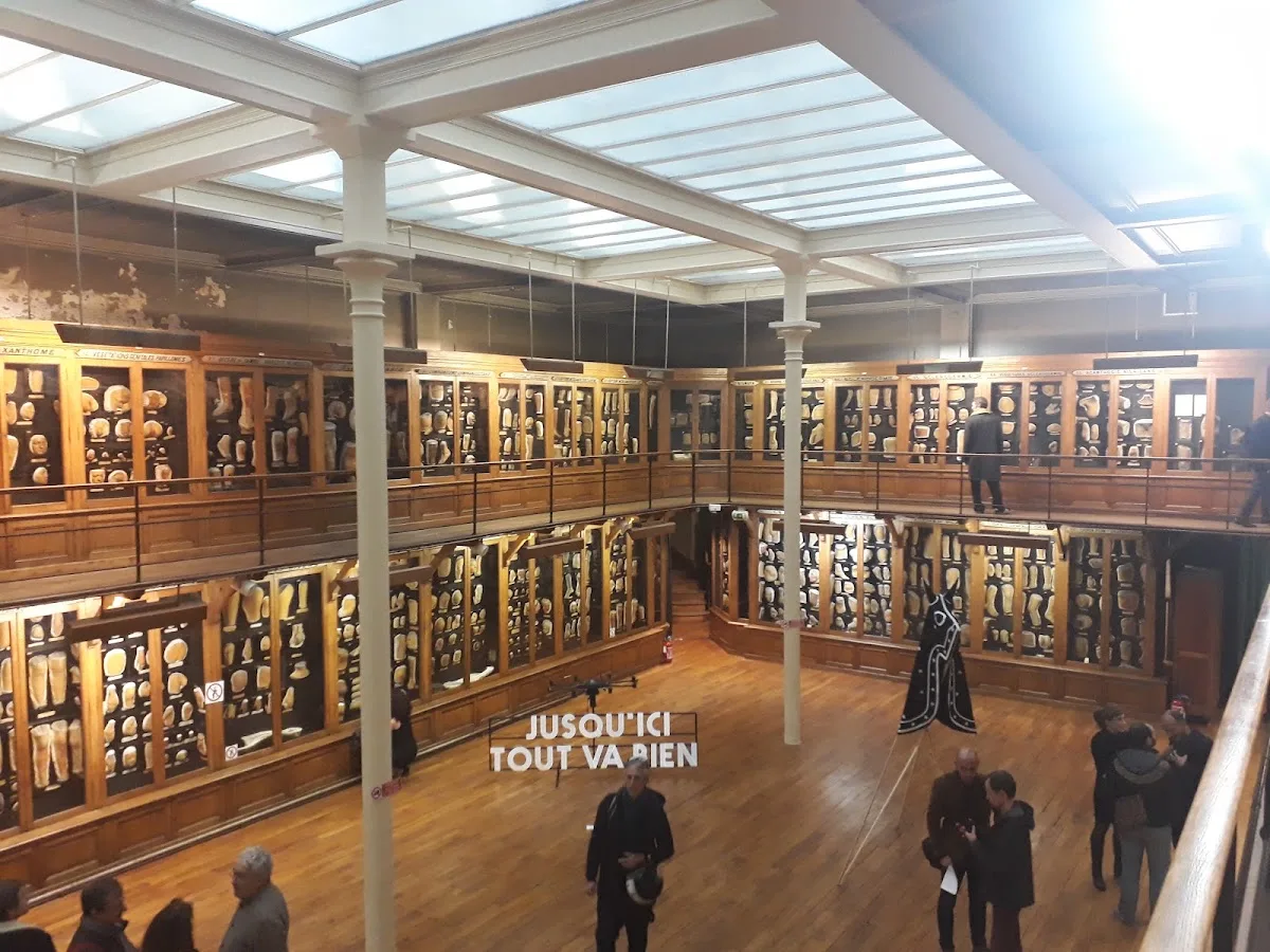 Musée des Moulages