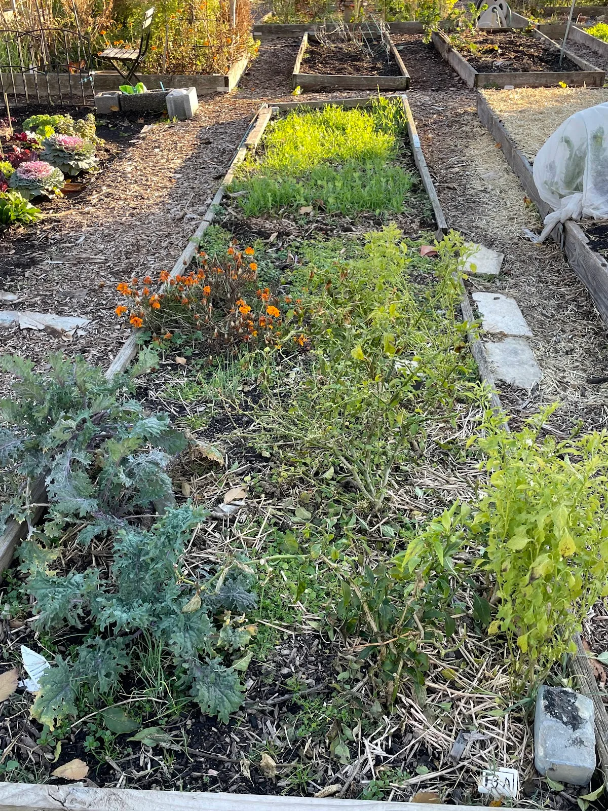 Virginia Avenue Community Garden