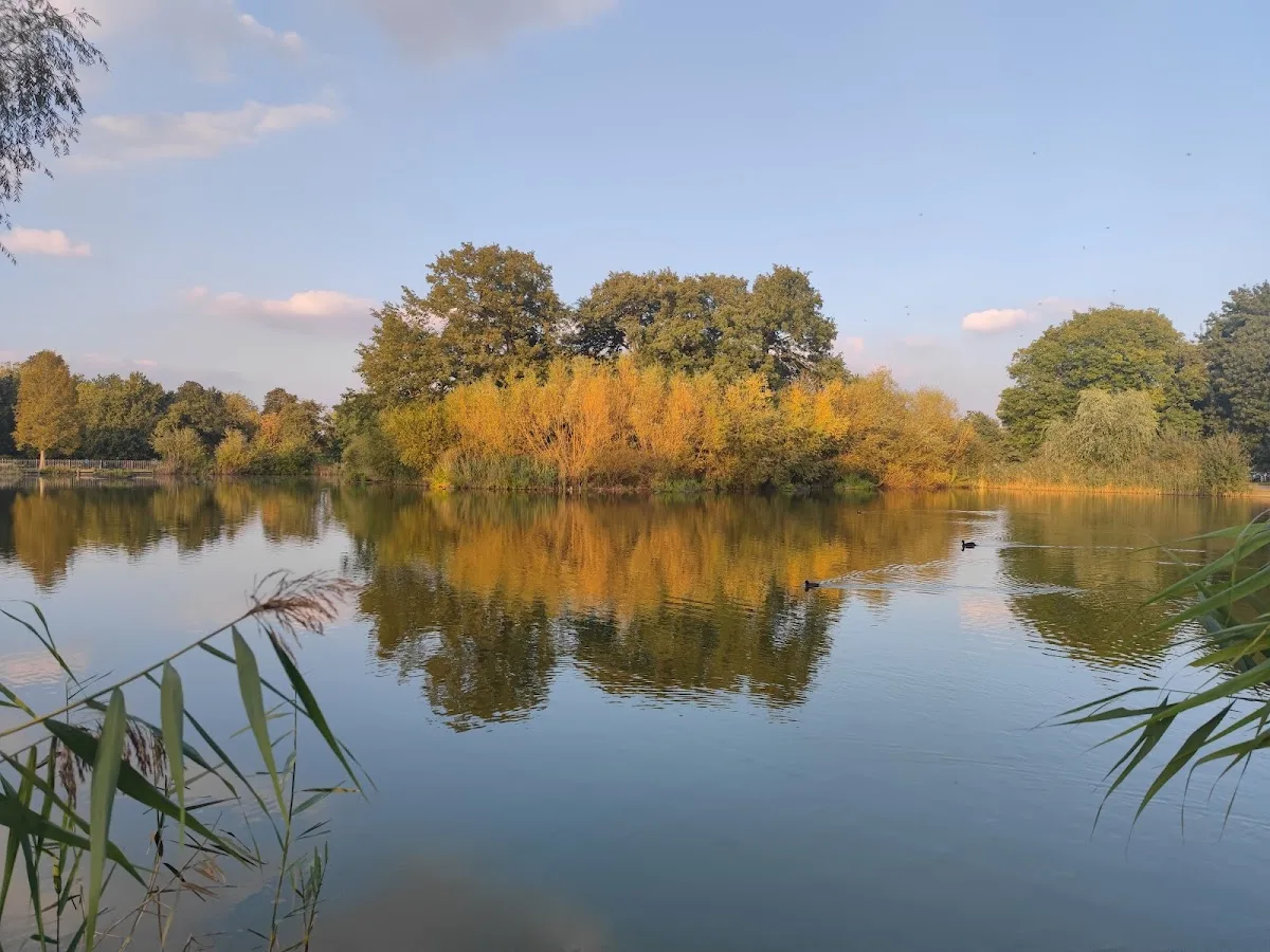 Mount Pond