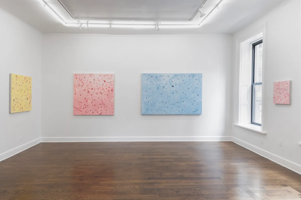 Johannes Vogt Gallery