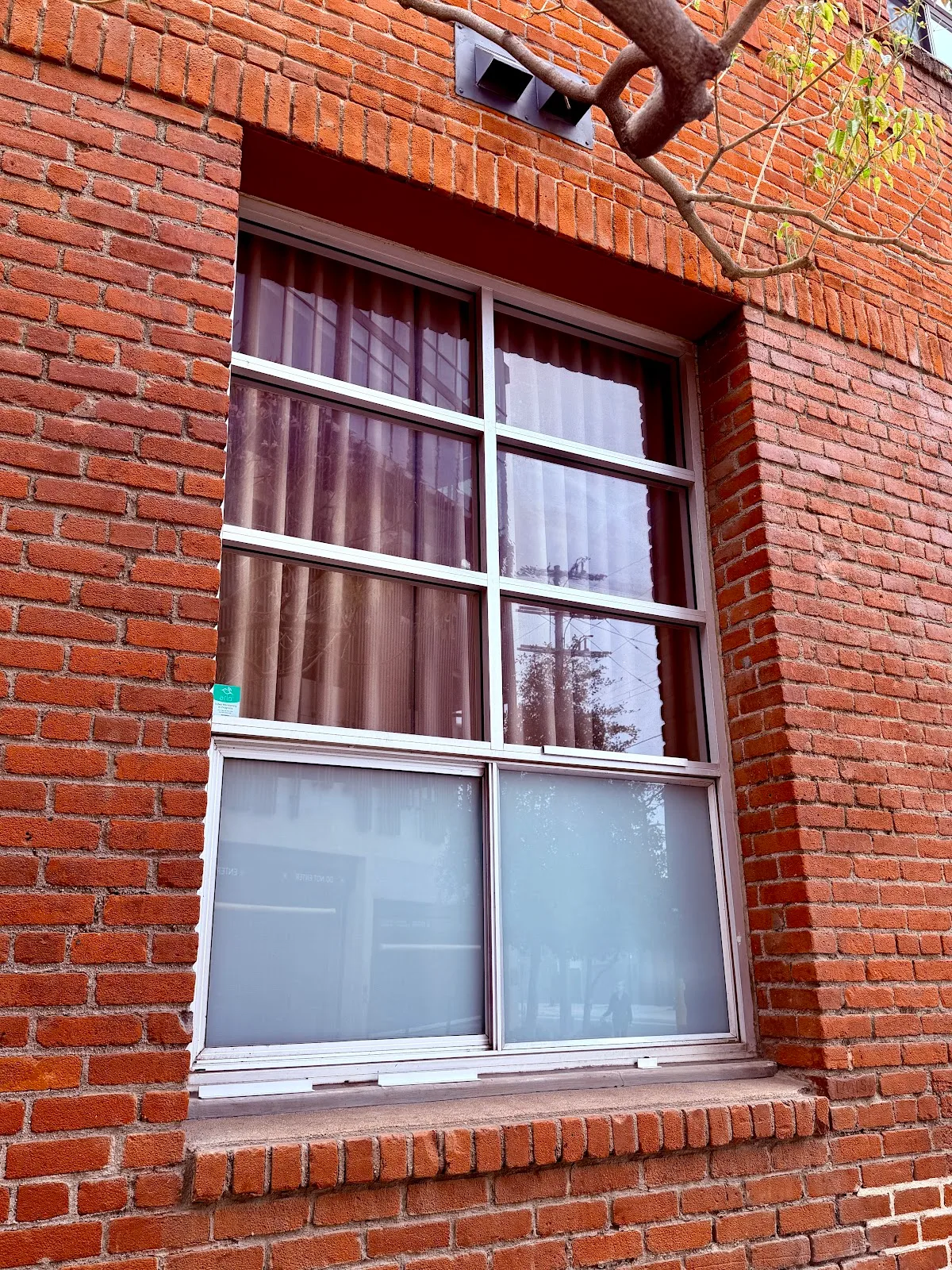 Out the window