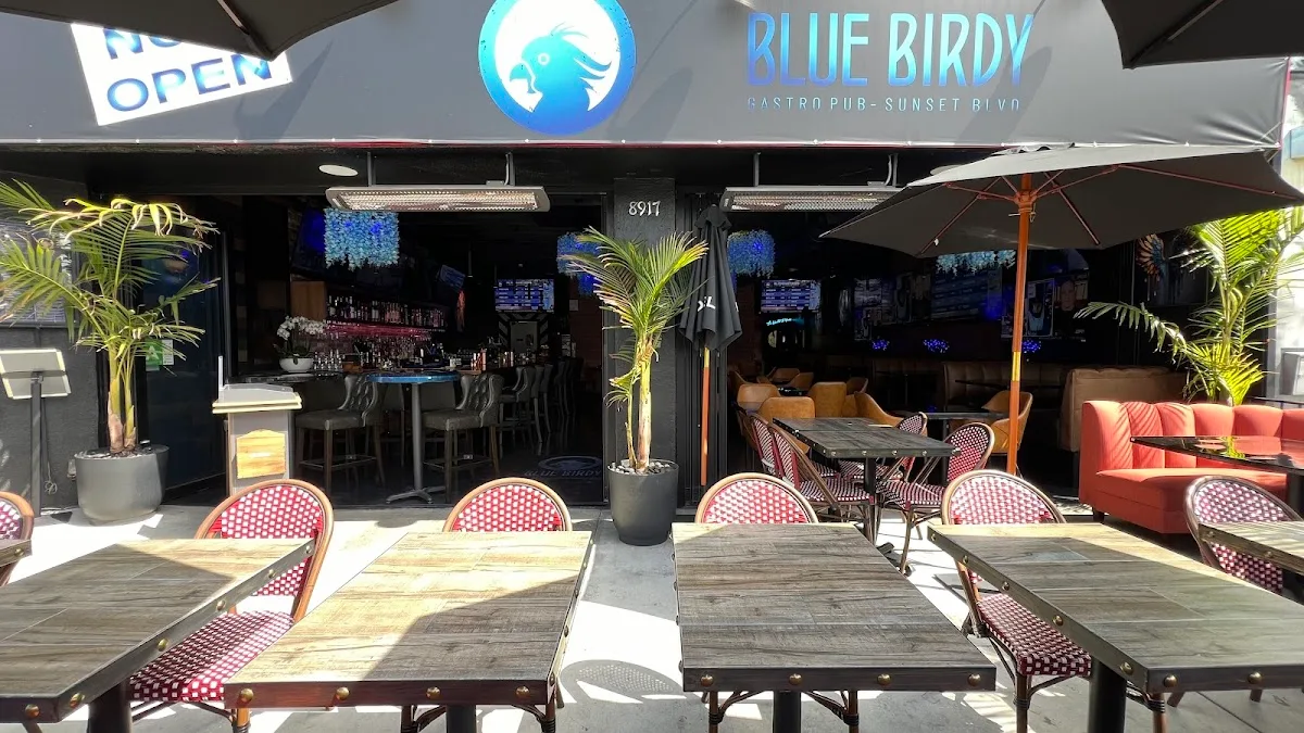 Blue Birdy