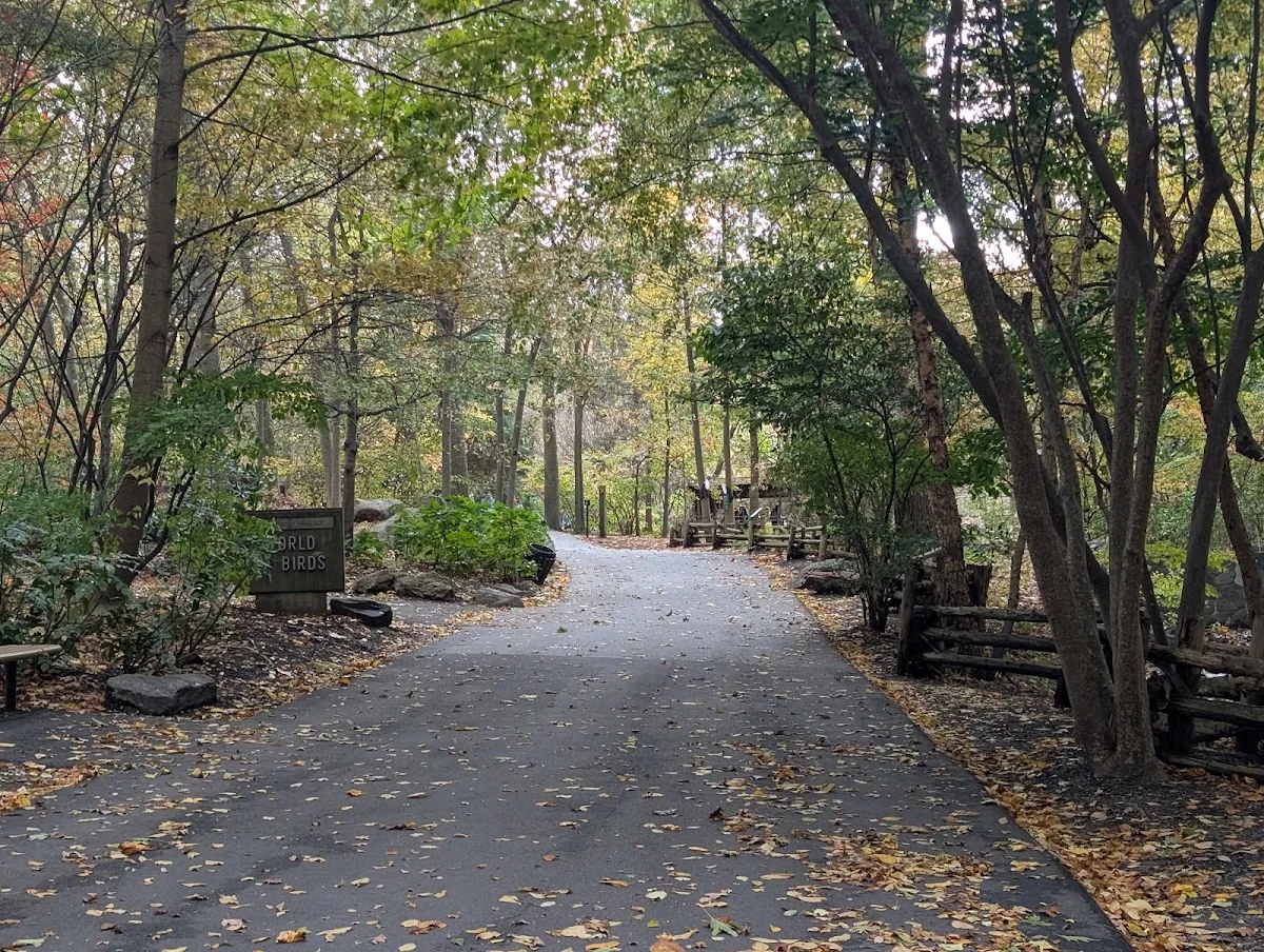 Bronx Park