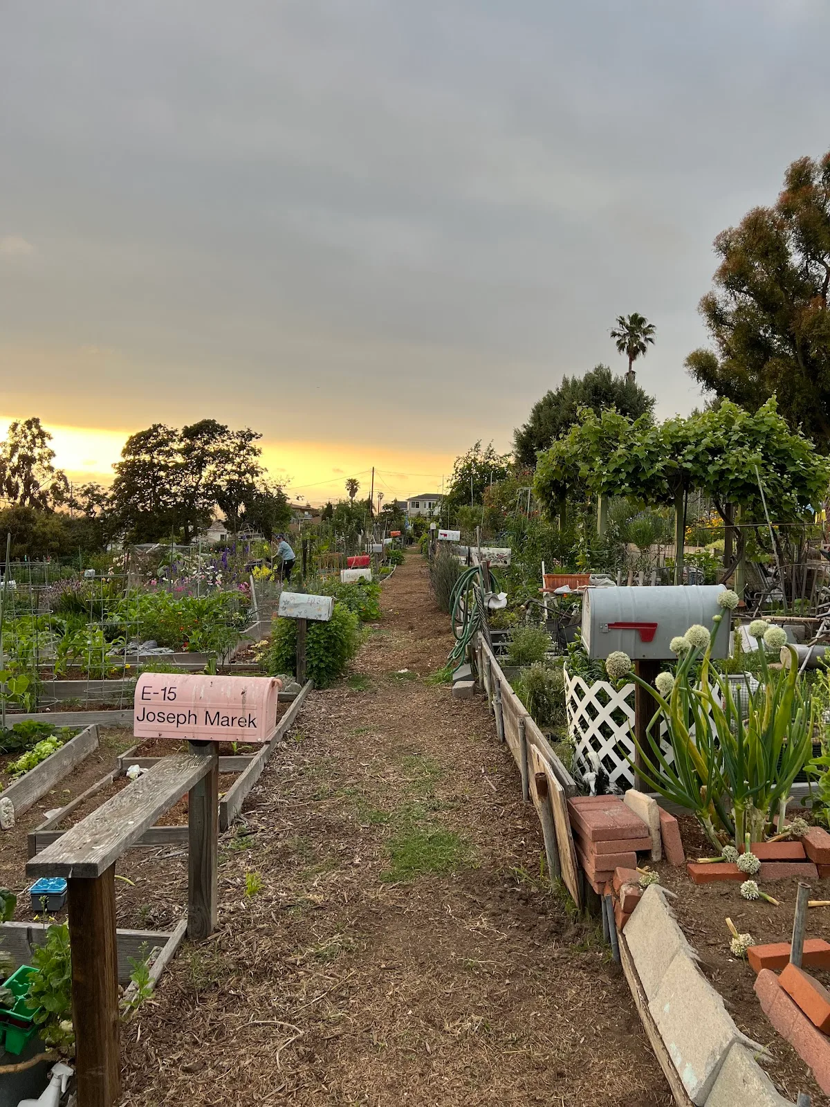 Ocean View Farms