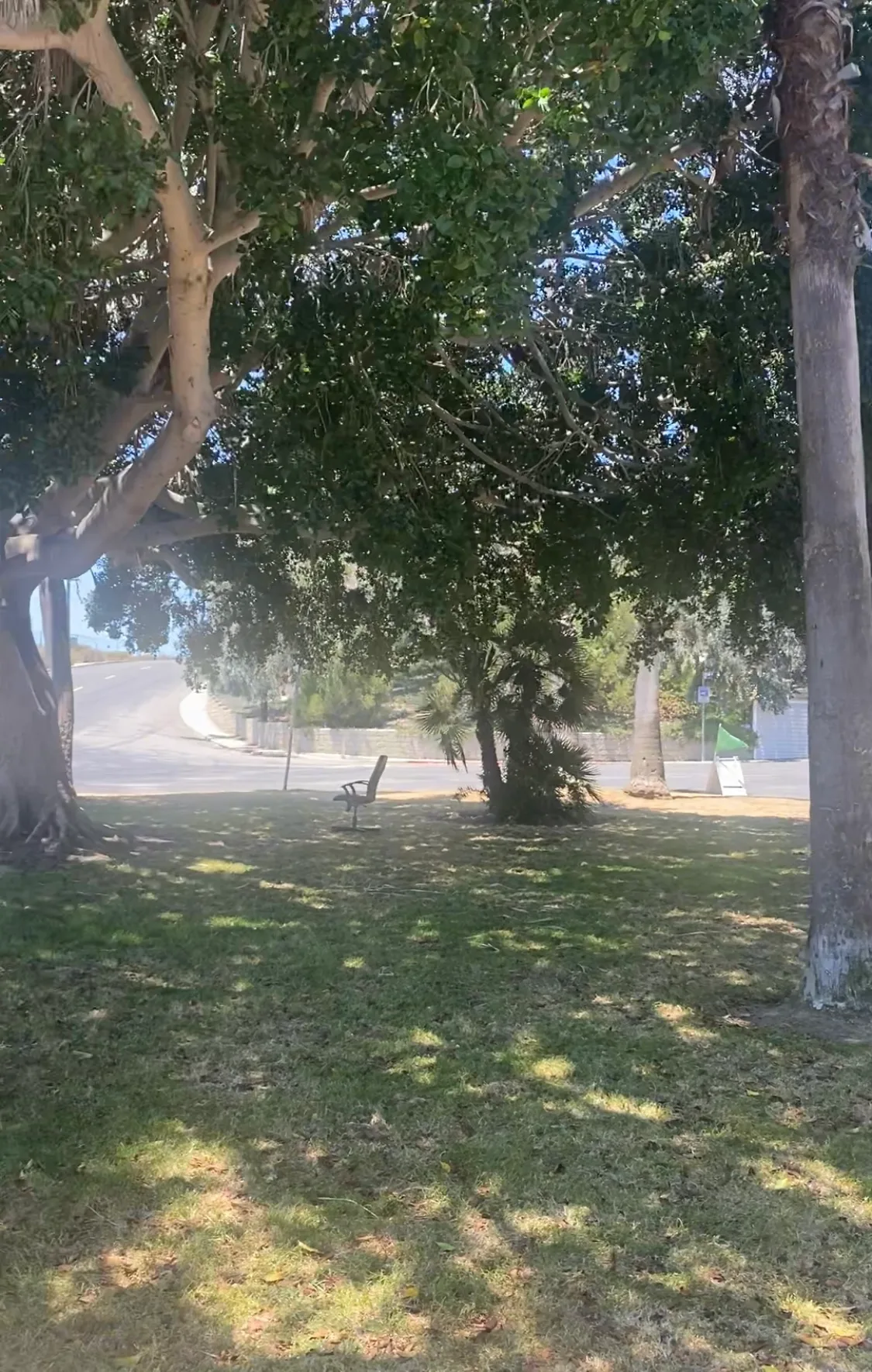 Trask Triangle Park