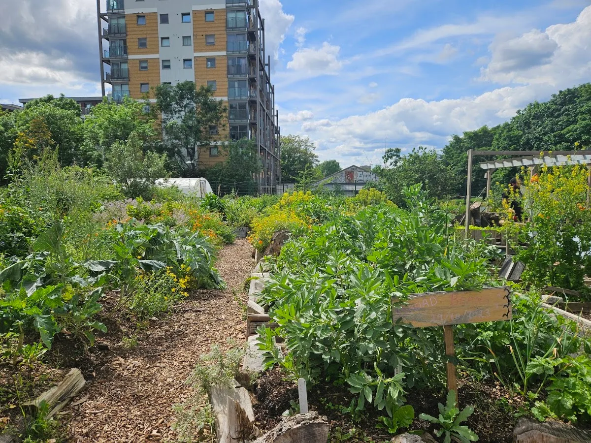 Glengall Wharf Garden