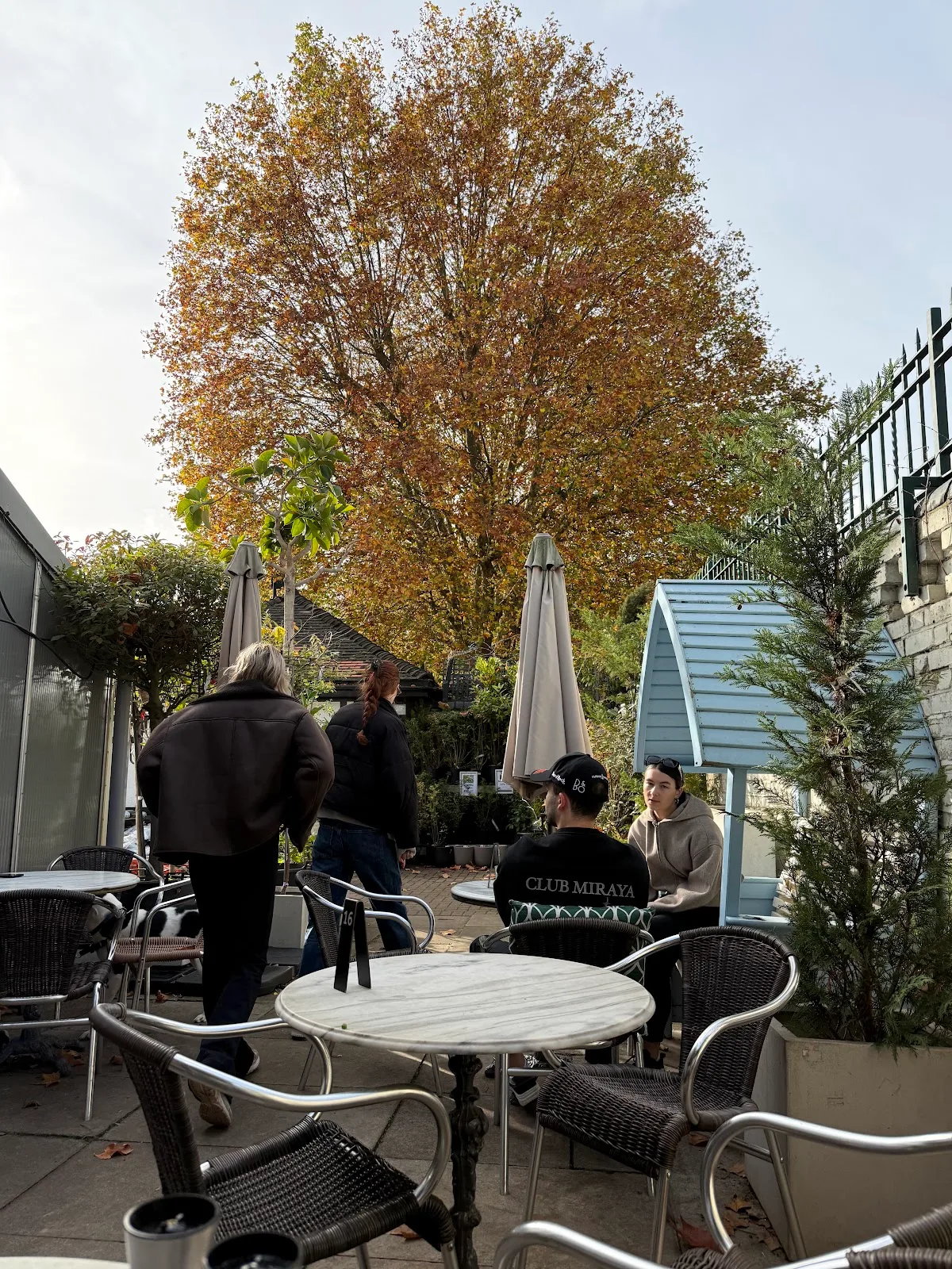 Glasshouse Coffee, Fulham