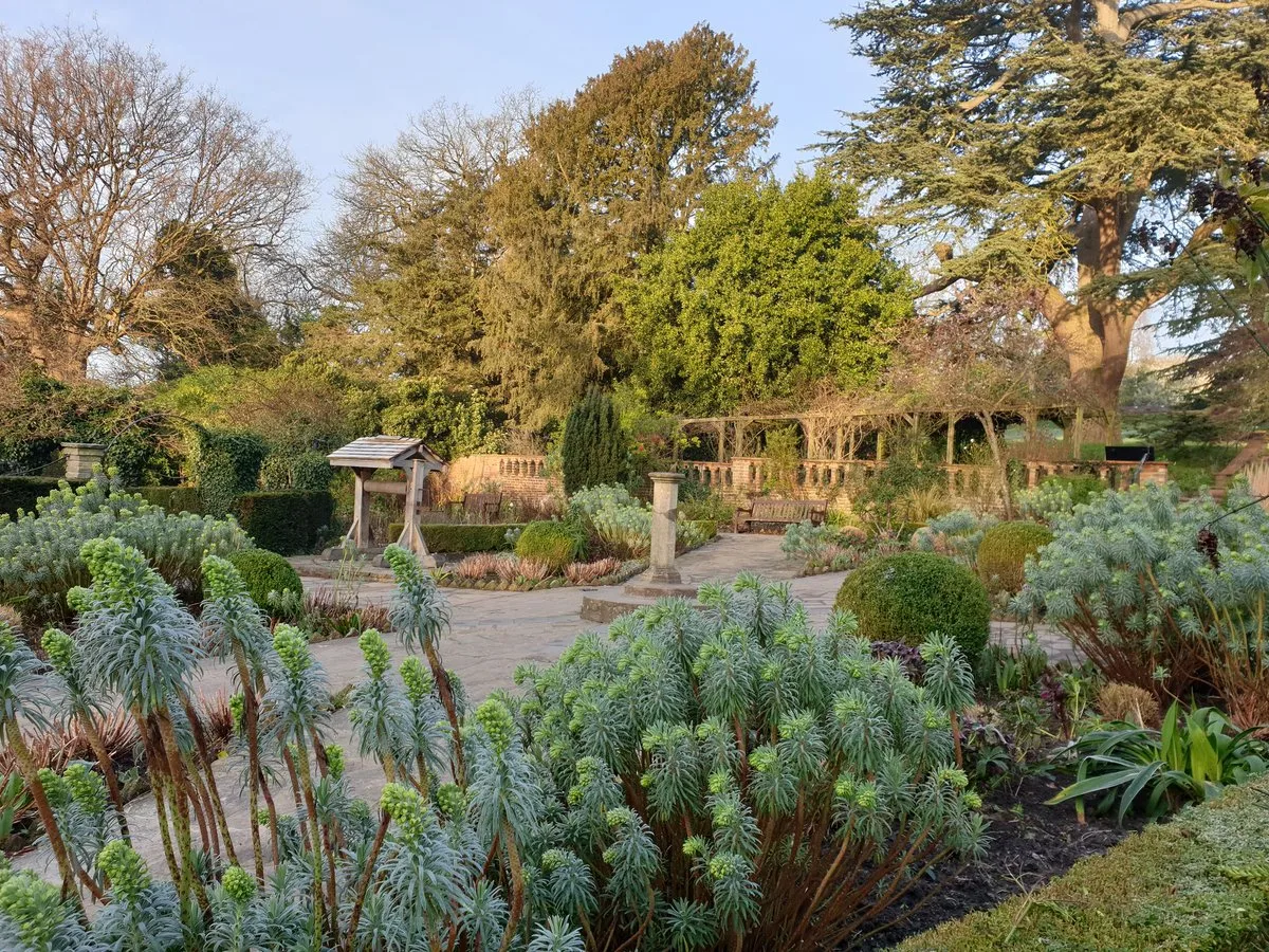 The Rookery