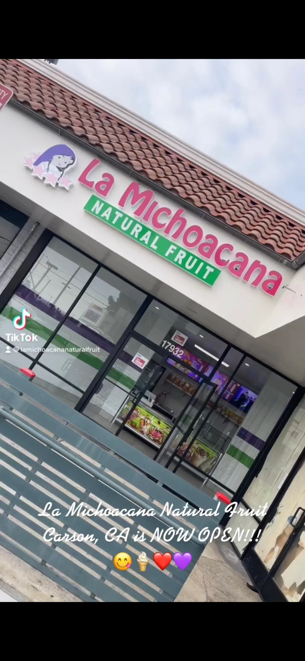 La Michoacana Natural Fruit III