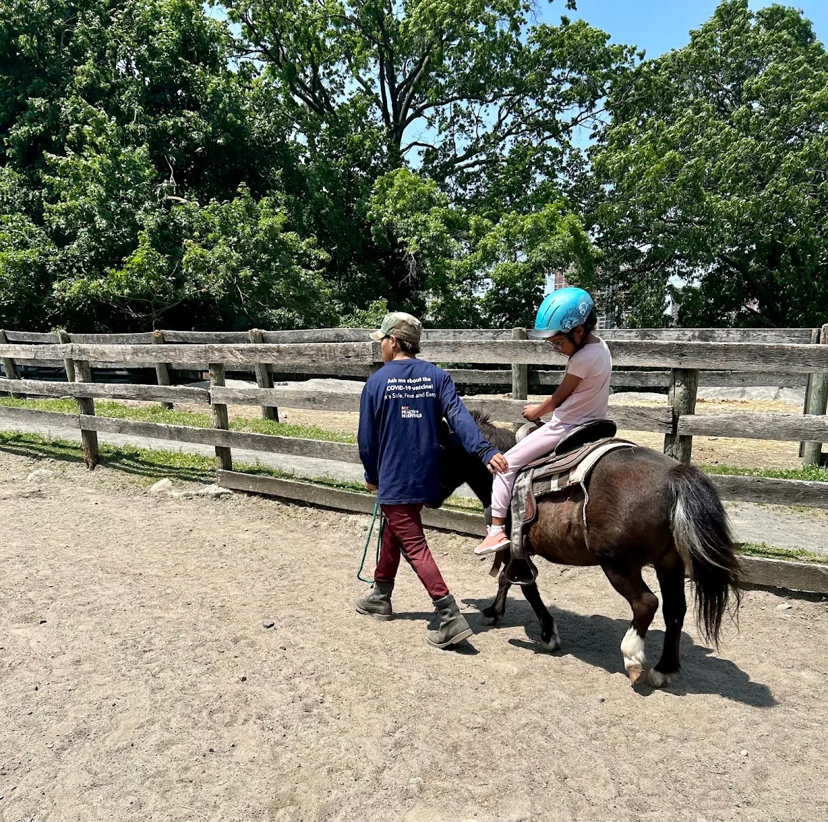 Pelham Bit Stables