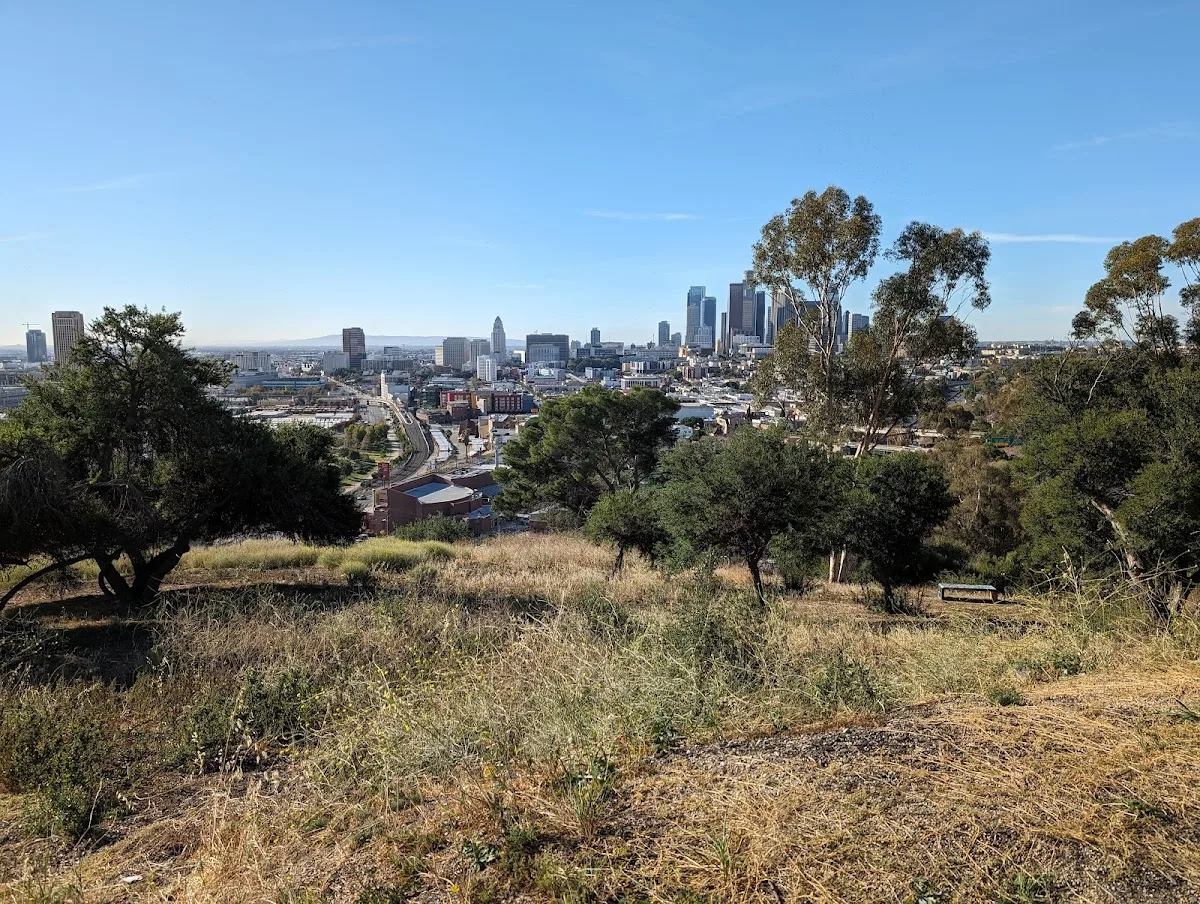 Radio Hill Gardens