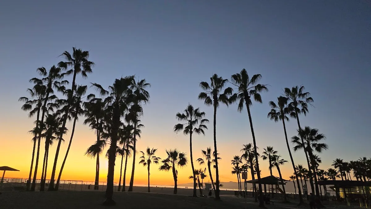 The Venice Beach Bar & Kitchen