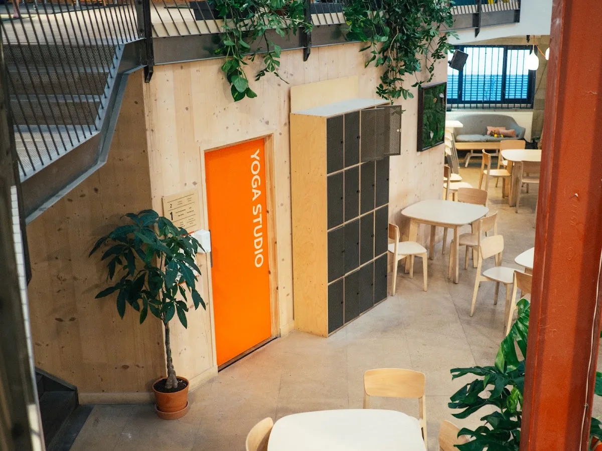 Yonder Indoor Climbing Gym