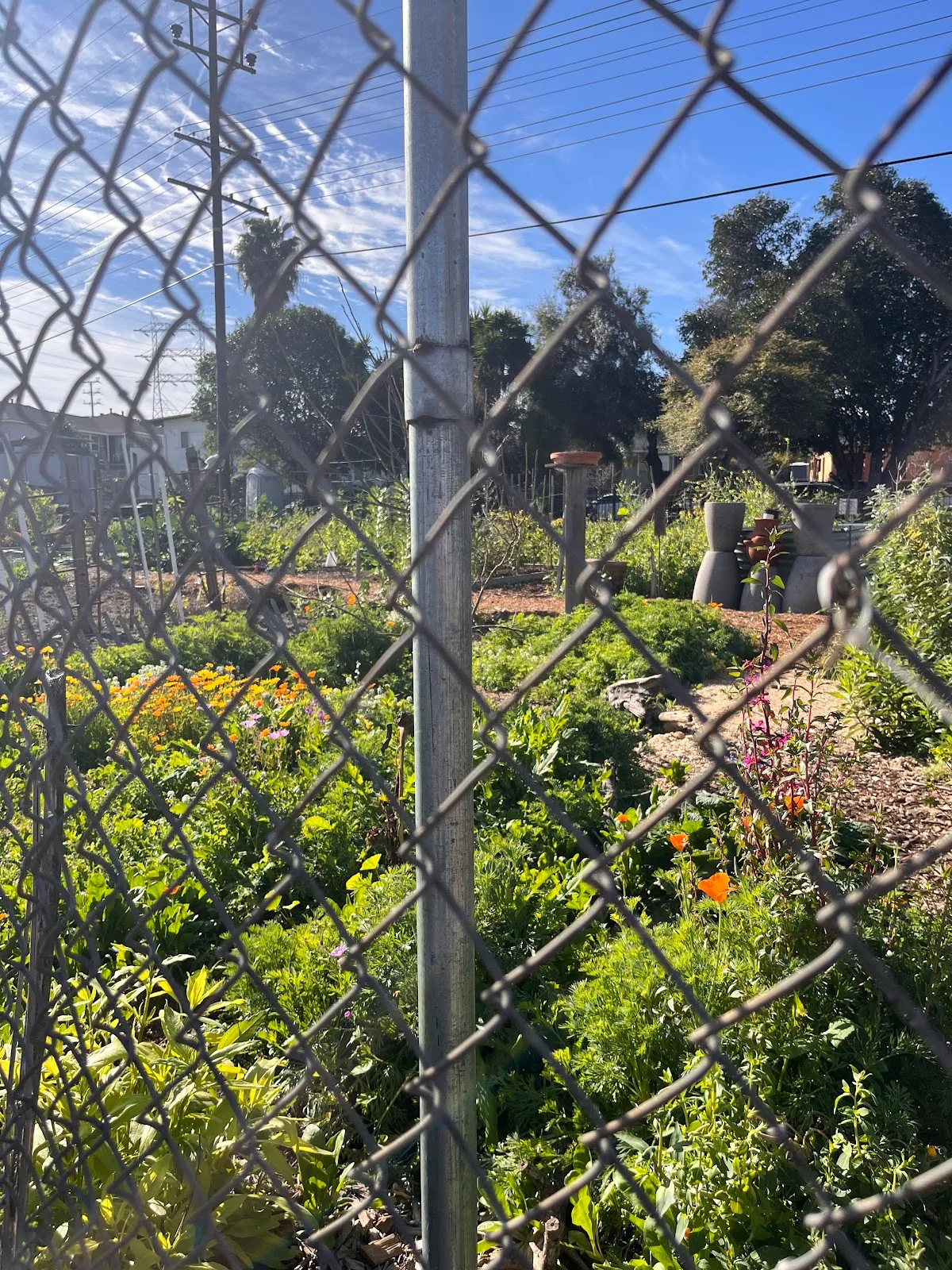 Good Earth Community Garden