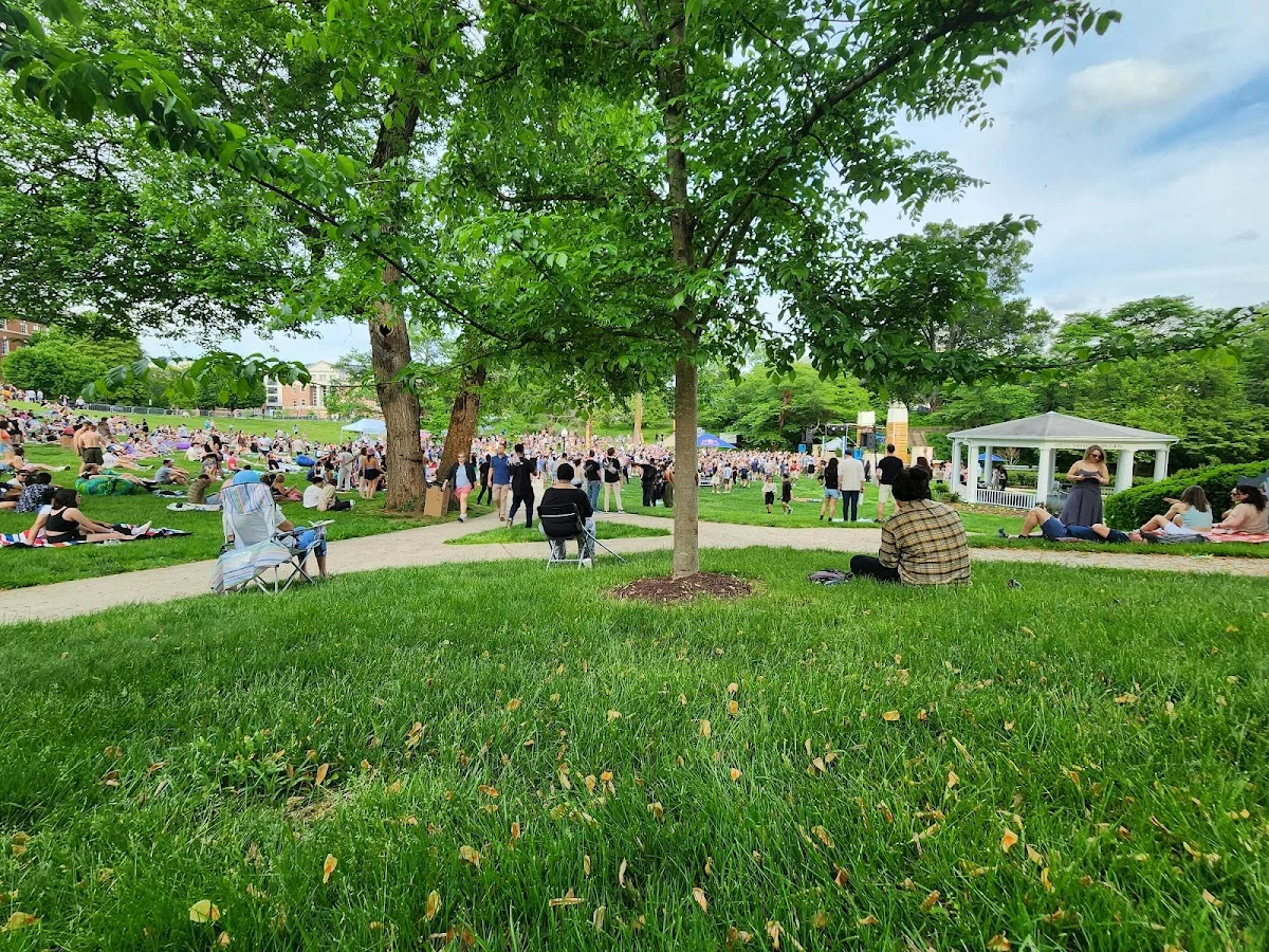 The Great Lawn