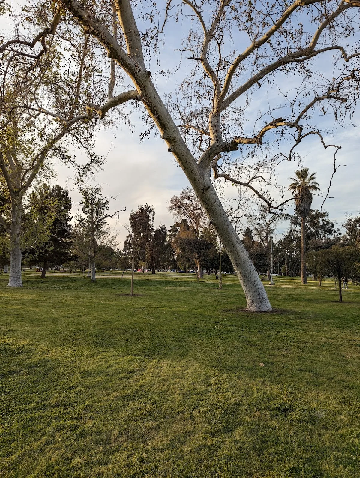 North Hollywood Park