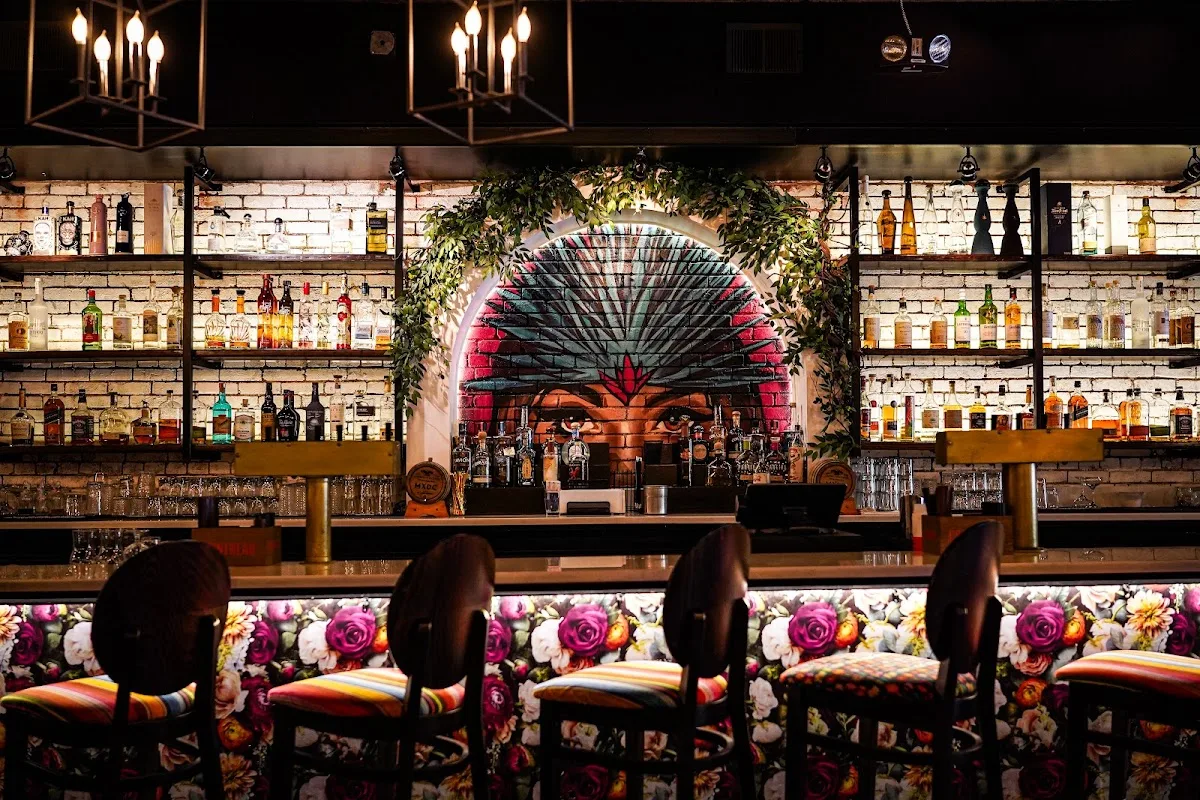MXDC Cocina Mexicana
