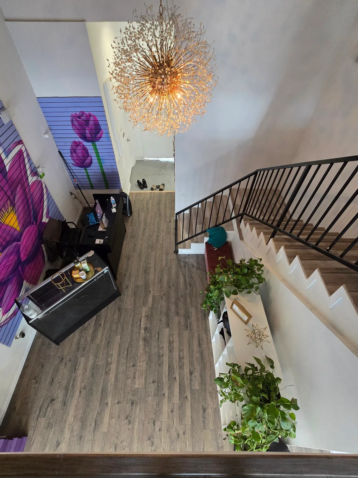 Lotus Yoga and Wellness
