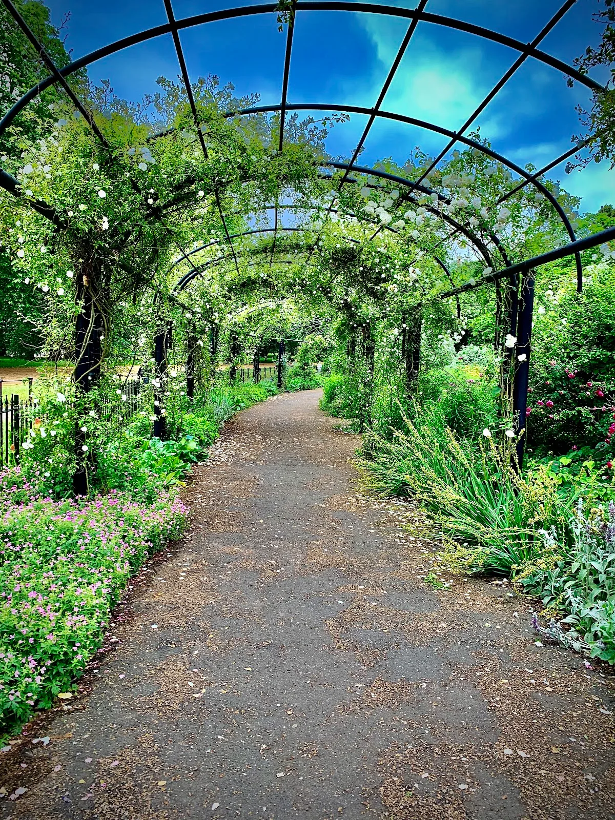 Hyde Park Rose Garden