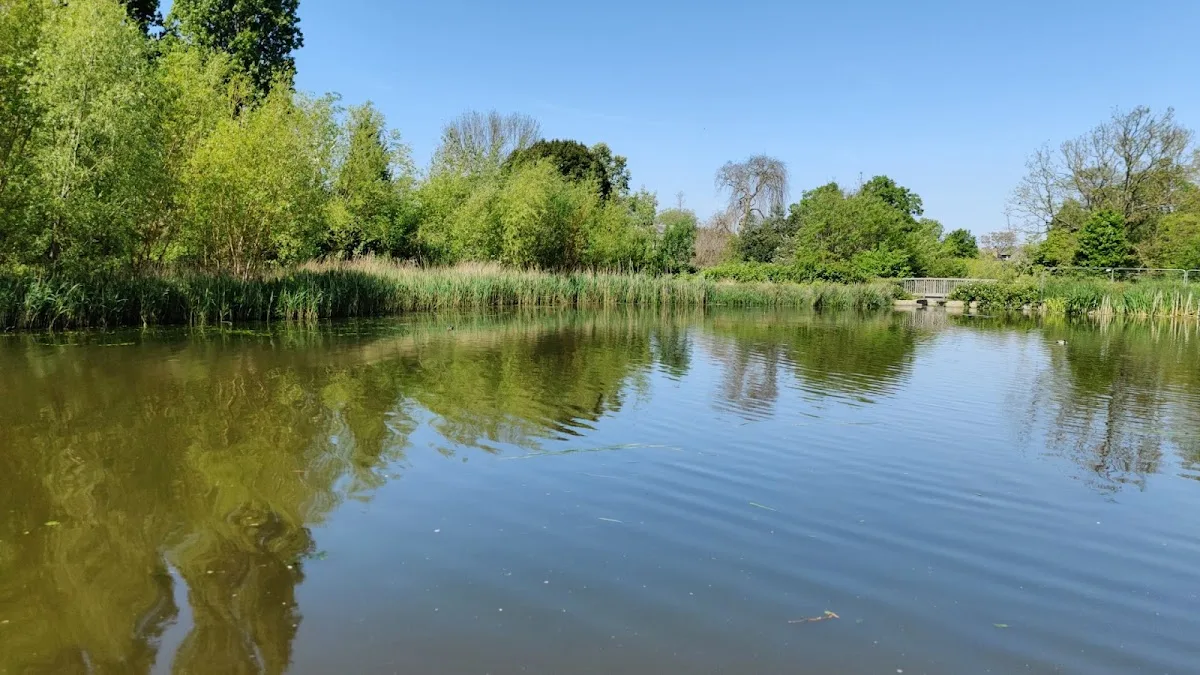 Brockwell Park