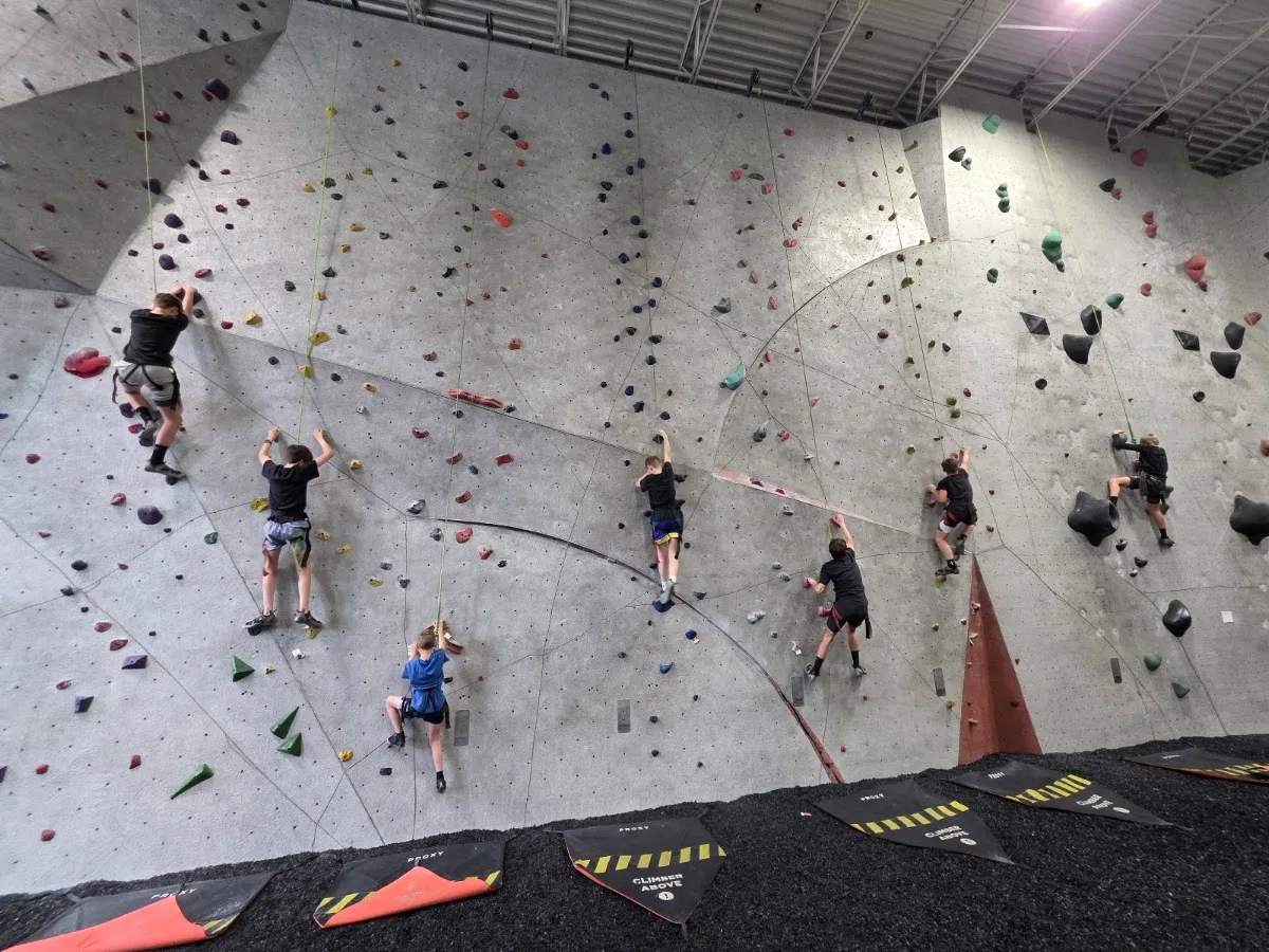 Vertical Endeavors