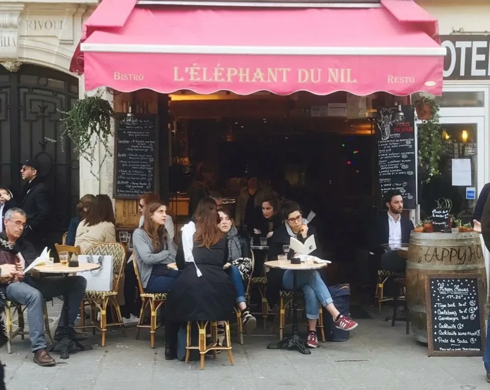 L'Elephant Du Nil