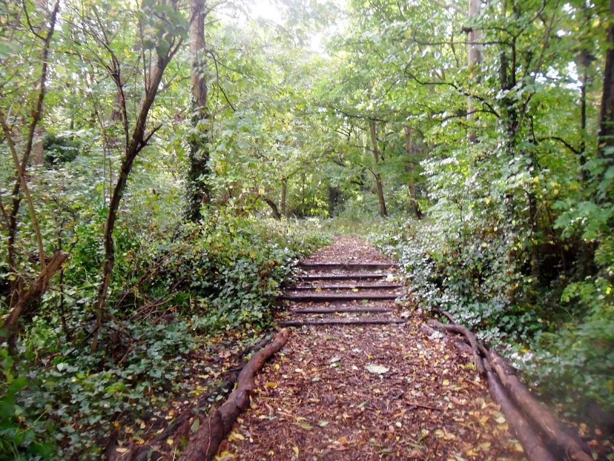 Crouch End Open Space (CREOS)