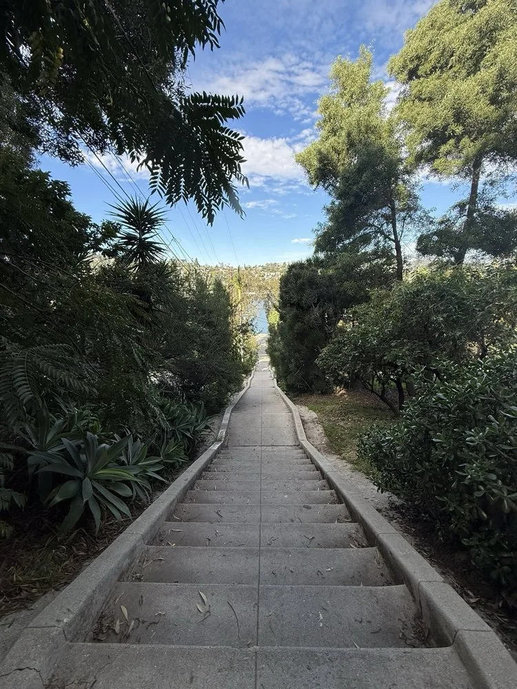 The Mattachine Steps