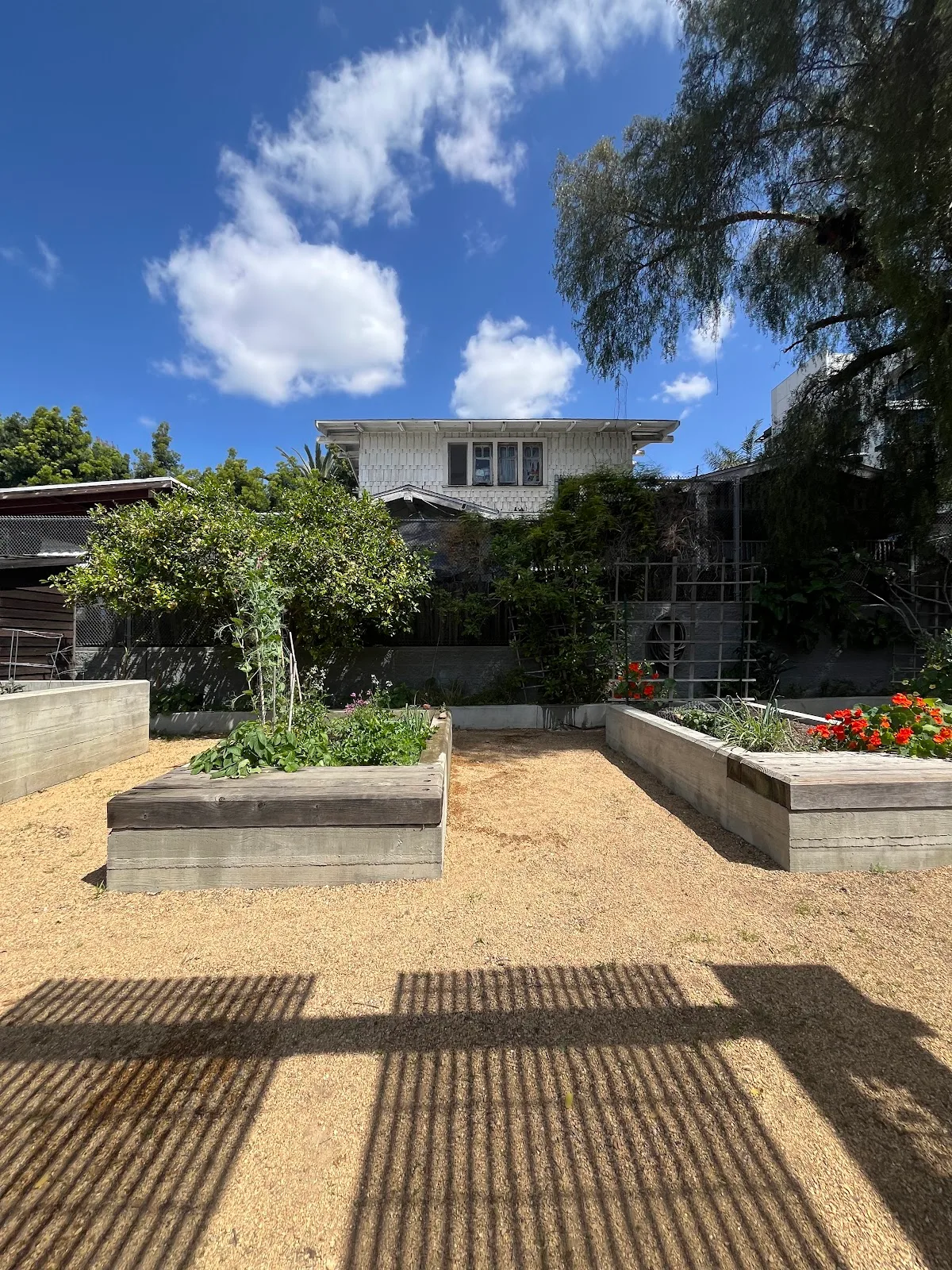Echo Park Community Garden