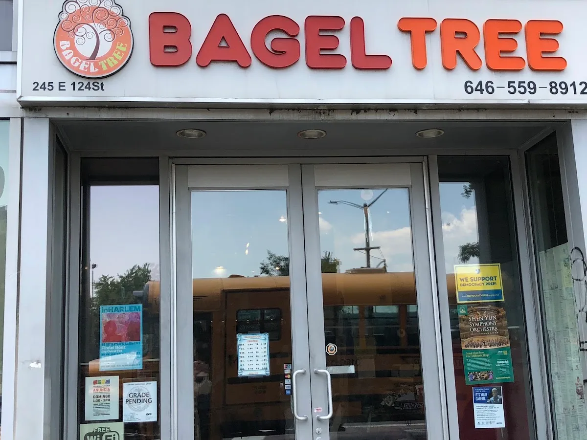 Bagel Tree