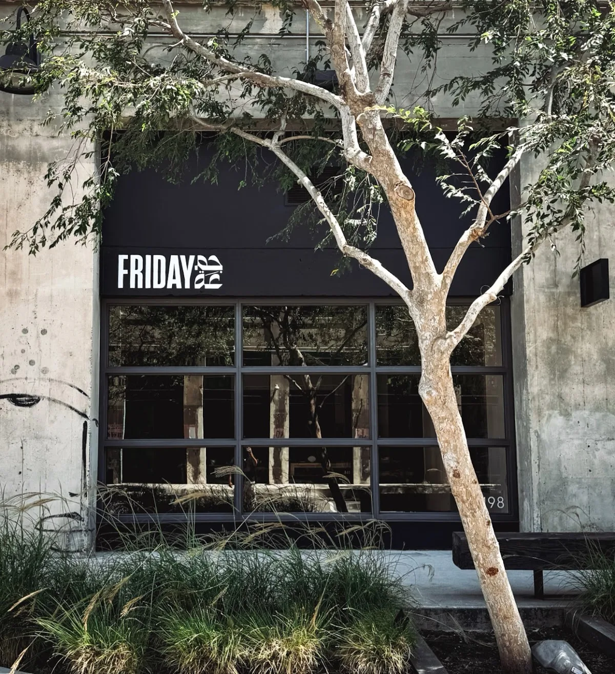 Friday Gallery
