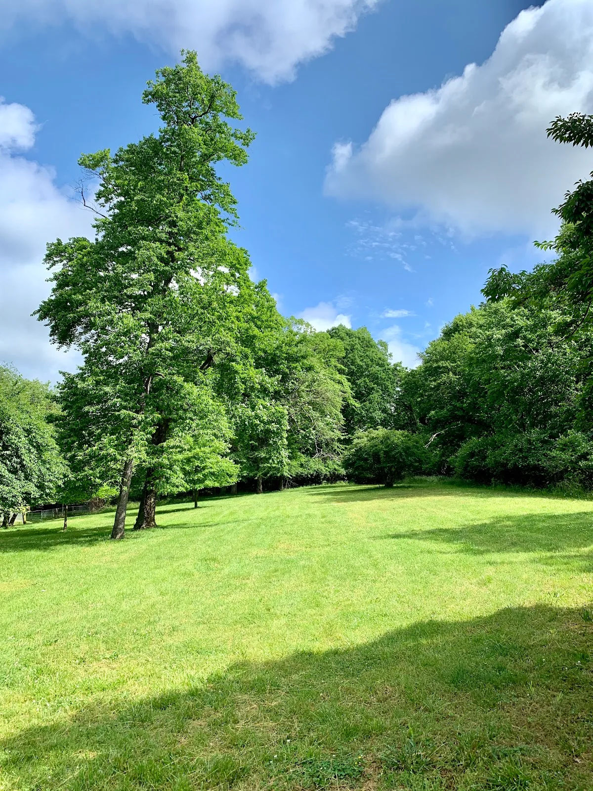 Barnard Hill Park