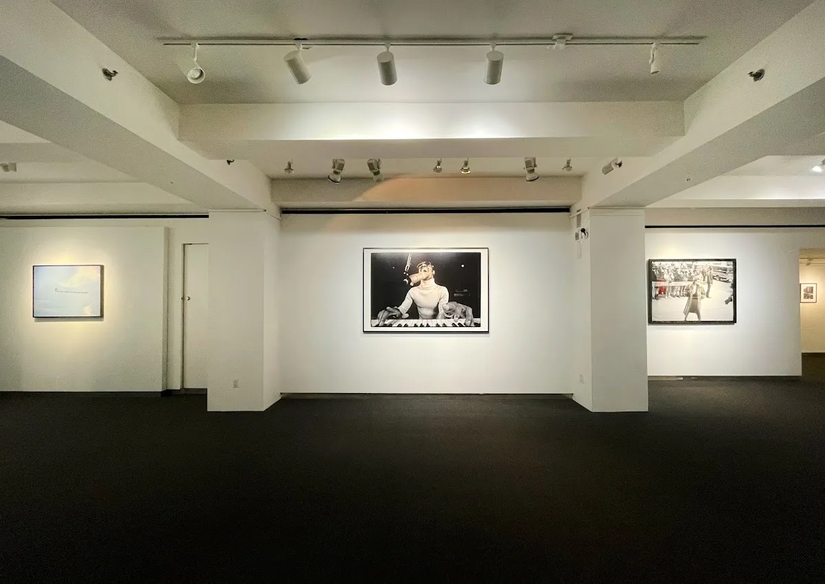 C+C Photography Gallery