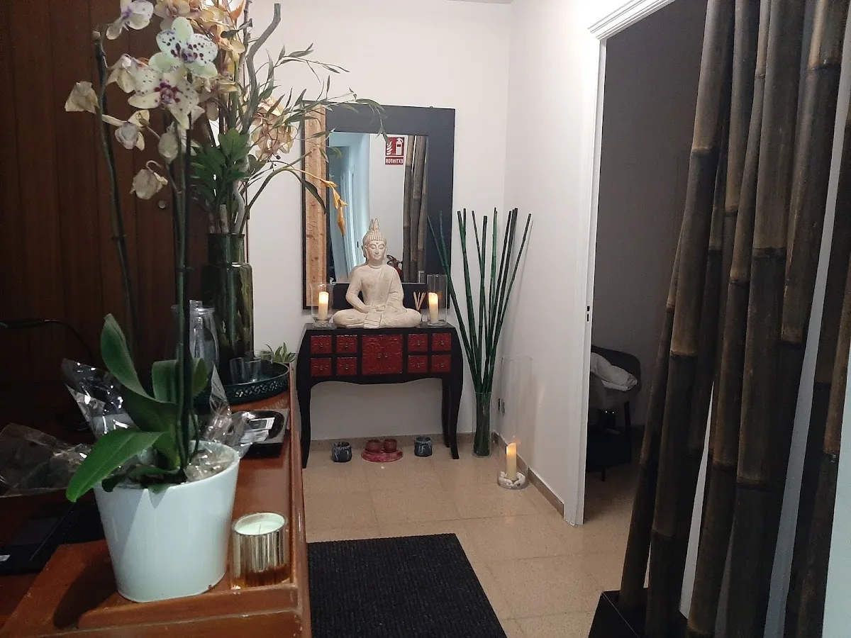 Mandala Wellness