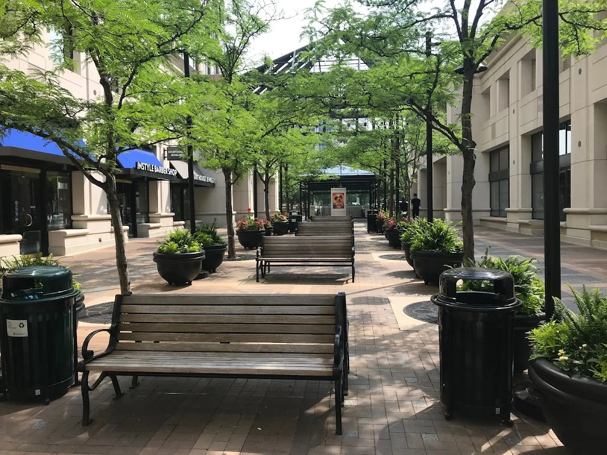 AMC Courthouse Plaza 8