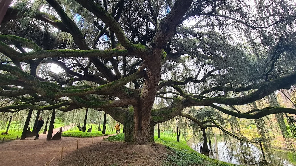 Arboretum de la Vallée aux Loups