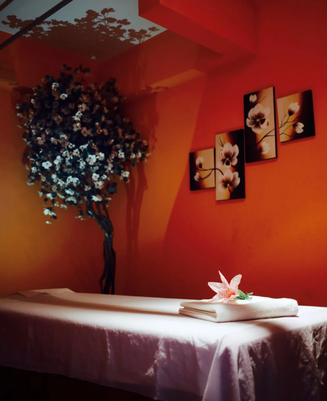 New Life Spa