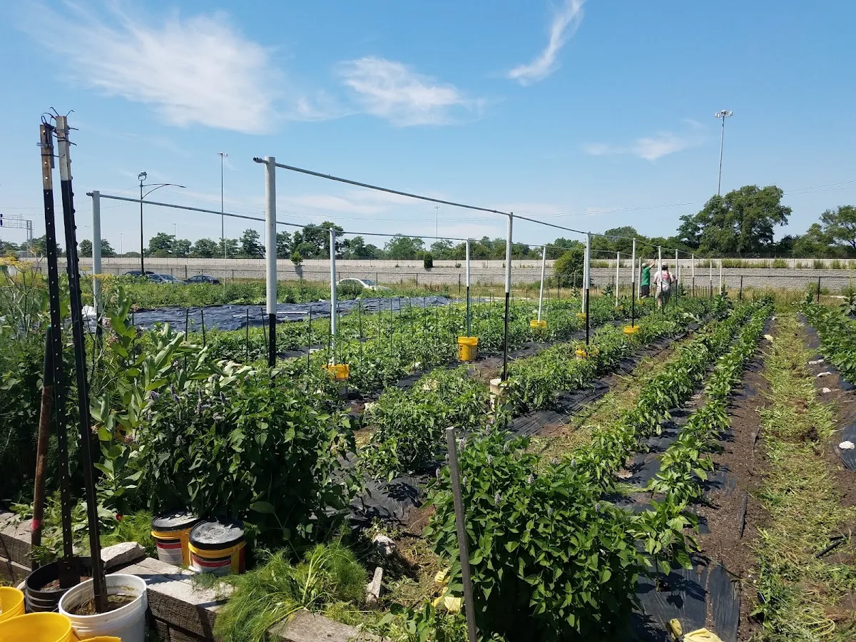 Legends Farm