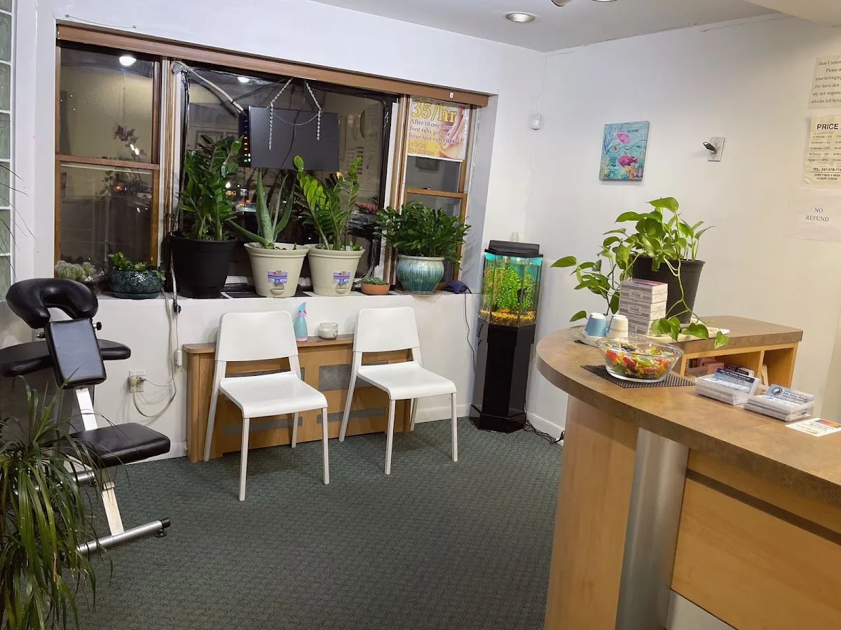 Rejuvenate Beauty and Spa