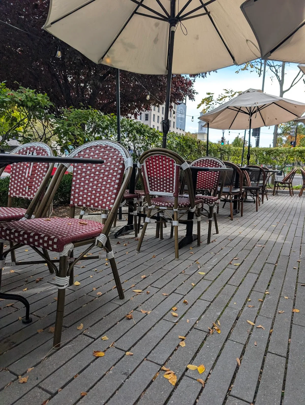 Il Piatto Restaurant
