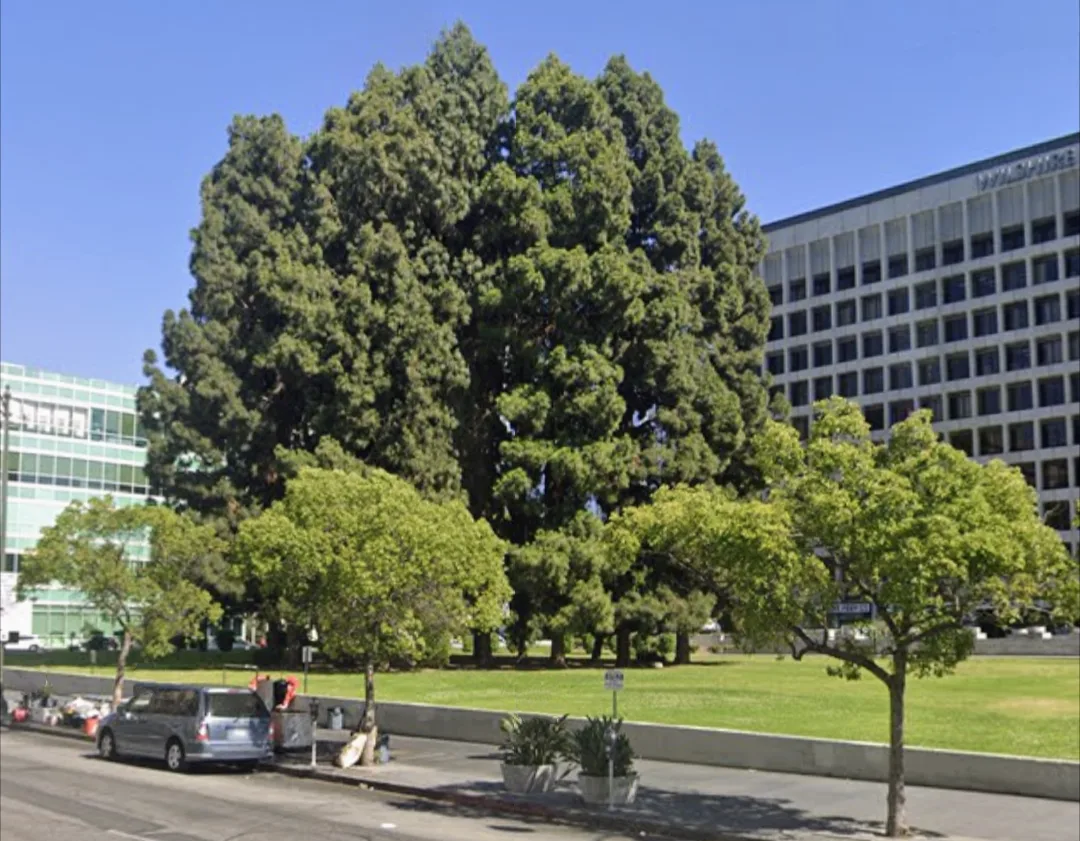Liberty Park