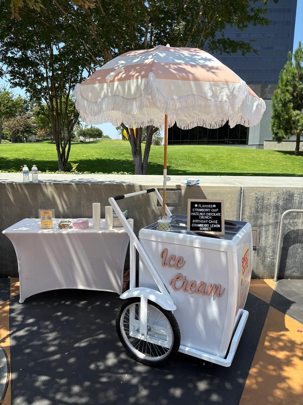 Sweet Cute Ice Cream